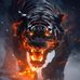 Dan Stoneburner - Facebook