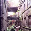 Daniel Stonehouse - @danielstonehouse - TikTok