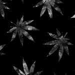 daniel - @_daniel_stoner_ - Instagram