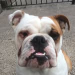Daniel Stoney - @d570ney - Instagram