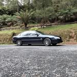 Daniel Storer - @danielstorer - Instagram