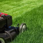 Daniel storie - @storie_lawn_care - Instagram