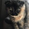 daniel_stork - @daniel_stork - TikTok