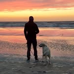Daniel Stork - @dstorky - Instagram