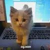 Daniel - @daniel._.storm45 - TikTok