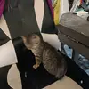 Daniel Storms - @daniel.storms - TikTok