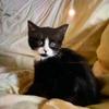 Daniel Stothard738 - @danielstothard738 - TikTok