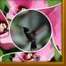 Dani Stottlemyer - Facebook