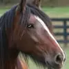 Daniel - @danielstottlemyer - TikTok