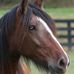 Daniel Stottlemyer - Facebook