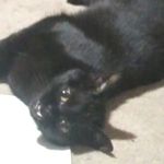 daniel stouffer - @tosassyforyourassy - Instagram