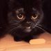 Daniel Stouffer - Facebook