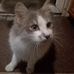 Daniel Stoychev - Facebook