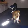 daniels.tra - @daniels.tra - TikTok