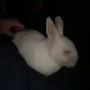 Daniela Stramm - @daniela.stramm6 - TikTok