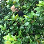 Daniel Straub - @missingfool - Instagram