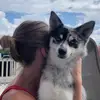 Danielle - @daniellestraub_ - TikTok