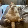 user4543095077162 - @danielstraube20 - TikTok
