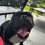 Daniel Straughn - @straughndaniel - Instagram