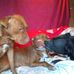 Daniel Strawn - Facebook