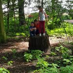 Daniel Strecker - @strecker_daniel - Instagram