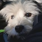 Daniel Strecker - @strecker.79 - Instagram