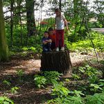 Daniel Strecker - @strecker_daniel - Instagram