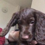 Daniel Streeter - @streeter4529 - Instagram
