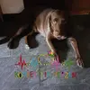 danielastrehl463 - @danielastrehl463 - TikTok