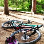 Daniel Streng - @daniel.streng - Instagram