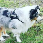 Daniel Stribling - @stribling.daniel - Instagram