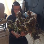 Daniel Strickler - @shatter_king710 - Instagram