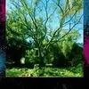 Danny Strobel945 - @dannystrobel945 - TikTok