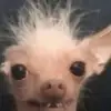 Daniel Stroder - @daniel.stroder - TikTok