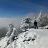 Danièle Strohheker - @danile.strohheker - TikTok