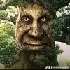 Daniel Strom - @danielstrom_6451 - TikTok
