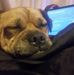 Daniel Strother - Facebook
