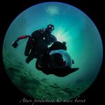 Daniel Strub - @strubd - Instagram