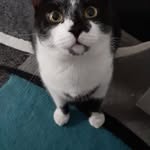 Daniel Strube - @daniel.strube.56 - Instagram