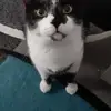 danielstrube882 - @danielstrube882 - TikTok