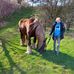 Daniel Struve - Facebook