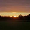 daniel studley - @daniel_studley - TikTok