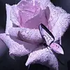 Ajaysadhu - @daniel_stull - TikTok