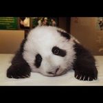 Daniel Stull - @hardcorexbl - Instagram