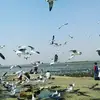 M.BHAURAO - @danielle.stulll - TikTok