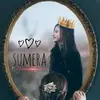 CA_ANJUL_SHARMA - @danielle.stuller - TikTok