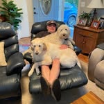 Daniel Sturgill - @danielsturgill4 - Instagram