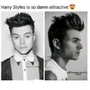 Daniel Styles - @danielstyles - TikTok