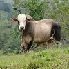 Daniel Suchite - @daniel.suchite98 - TikTok