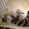 Daniela Sucher - @danielasucher - TikTok